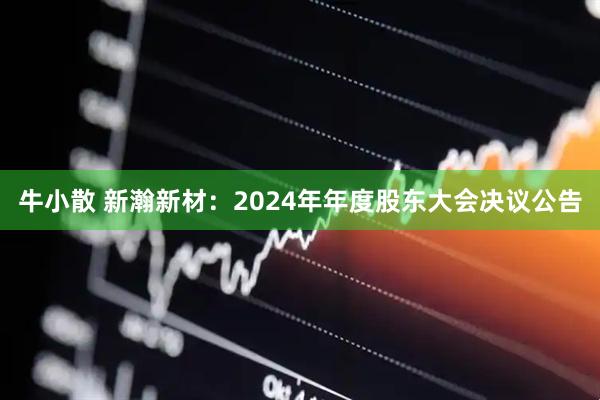 牛小散 新瀚新材：2024年年度股东大会决议公告