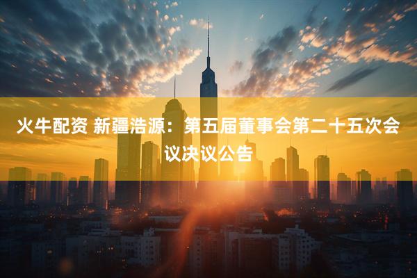 火牛配资 新疆浩源：第五届董事会第二十五次会议决议公告