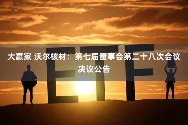 大赢家 沃尔核材：第七届董事会第二十八次会议决议公告