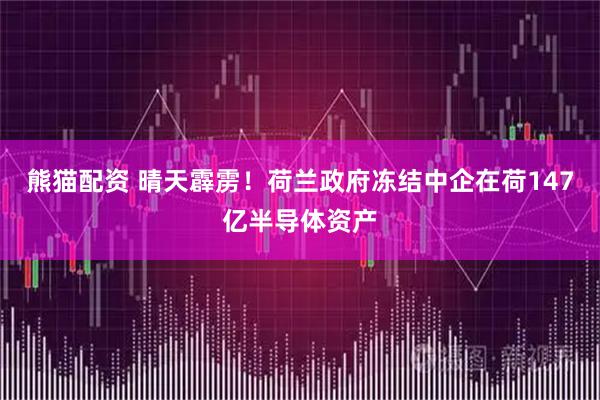 熊猫配资 晴天霹雳！荷兰政府冻结中企在荷147亿半导体资产