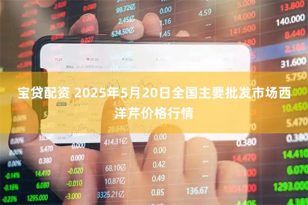 宝贷配资 2025年5月20日全国主要批发市场西洋芹价格行情