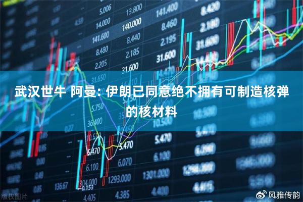 武汉世牛 阿曼: 伊朗已同意绝不拥有可制造核弹的核材料